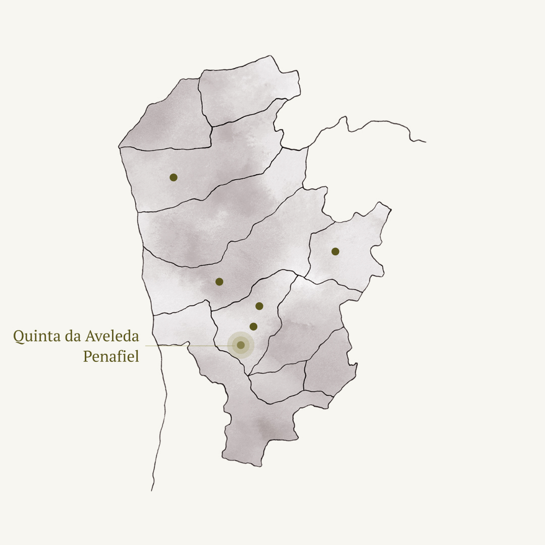 Quinta de Aveleda Penafiel